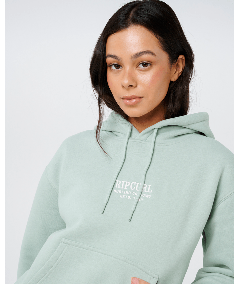 Rip Curl Surf Staple Relaxed Hood in AQUA GRAY