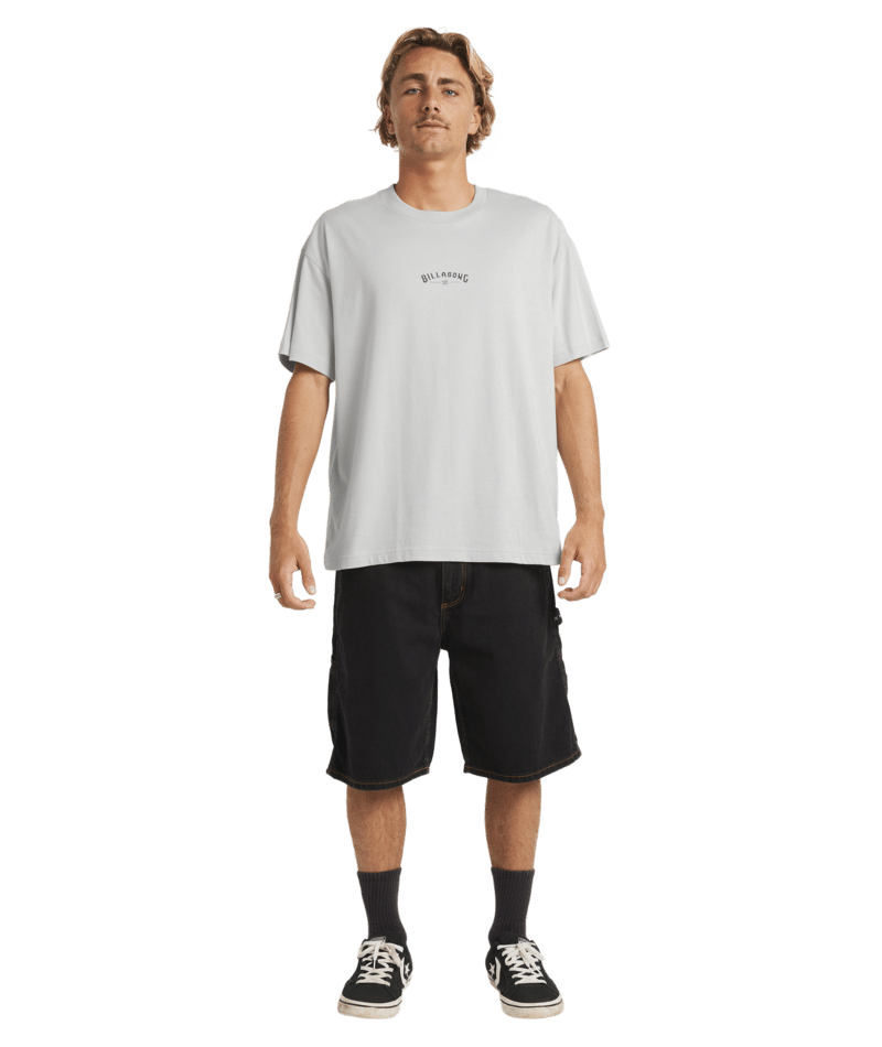 Billabong Chrome Arch Og Ss in SILVER