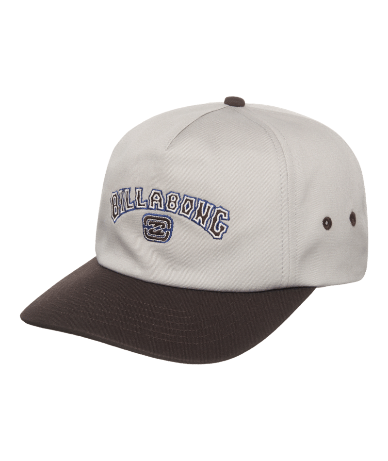 Billabong Throwback Strapback in SILVER