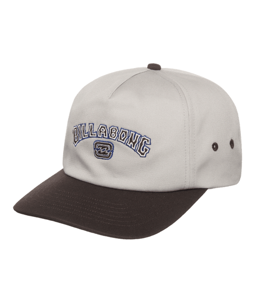 Billabong Throwback Strapback in SILVER