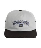 Billabong Throwback Strapback in SILVER