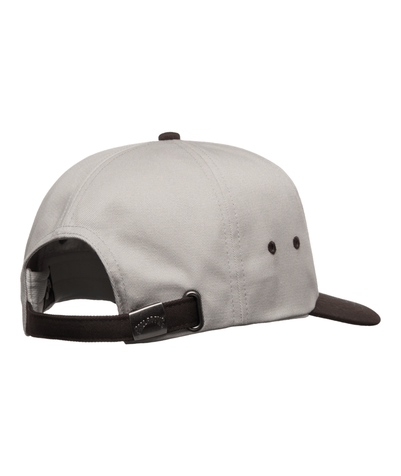 Billabong Throwback Strapback in SILVER