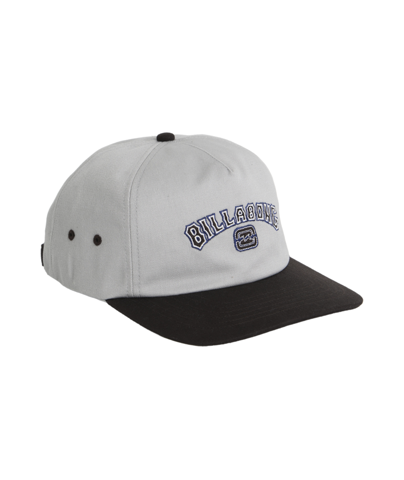 Billabong Throwback Strapback in SILVER