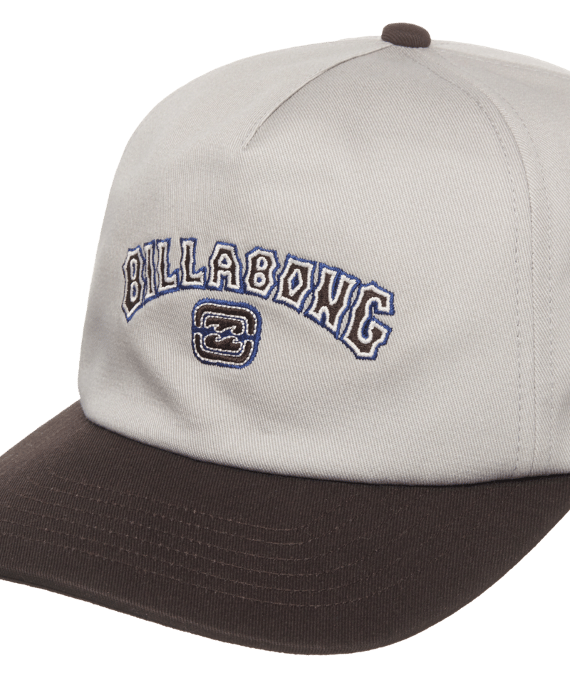 Billabong Throwback Strapback in SILVER