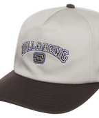 Billabong Throwback Strapback in SILVER