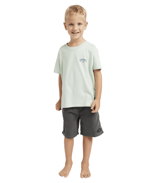 Billabong Groms Wax Arch Ss in SEAFOAM