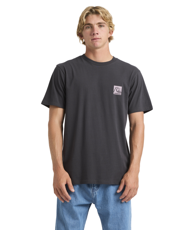 Quiksilver Og Box Logo Ss in TARMAC