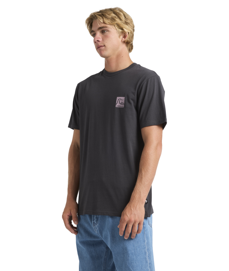 Quiksilver Og Box Logo Ss in TARMAC