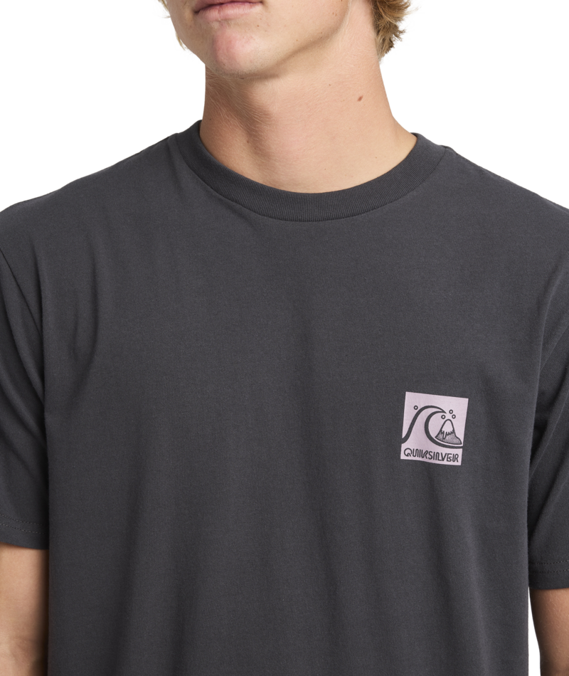Quiksilver Og Box Logo Ss in TARMAC