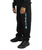 Quiksilver Screen Trackpant Yth in BLACK