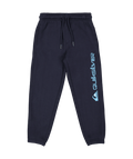 Quiksilver Screen Trackpant Boy in DARK NAVY