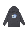 Quiksilver Tropic Tides Hoodie Boy in IRON GATE