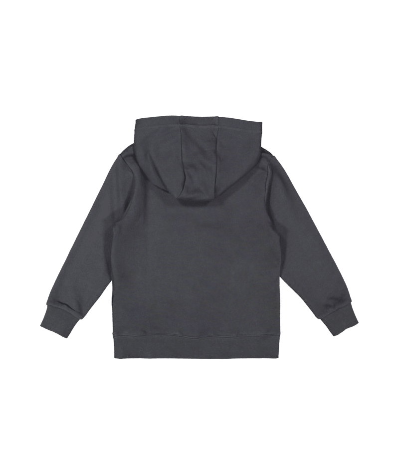 Quiksilver Tropic Tides Hoodie Boy in IRON GATE