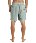 Billabong All Day Od in JADE