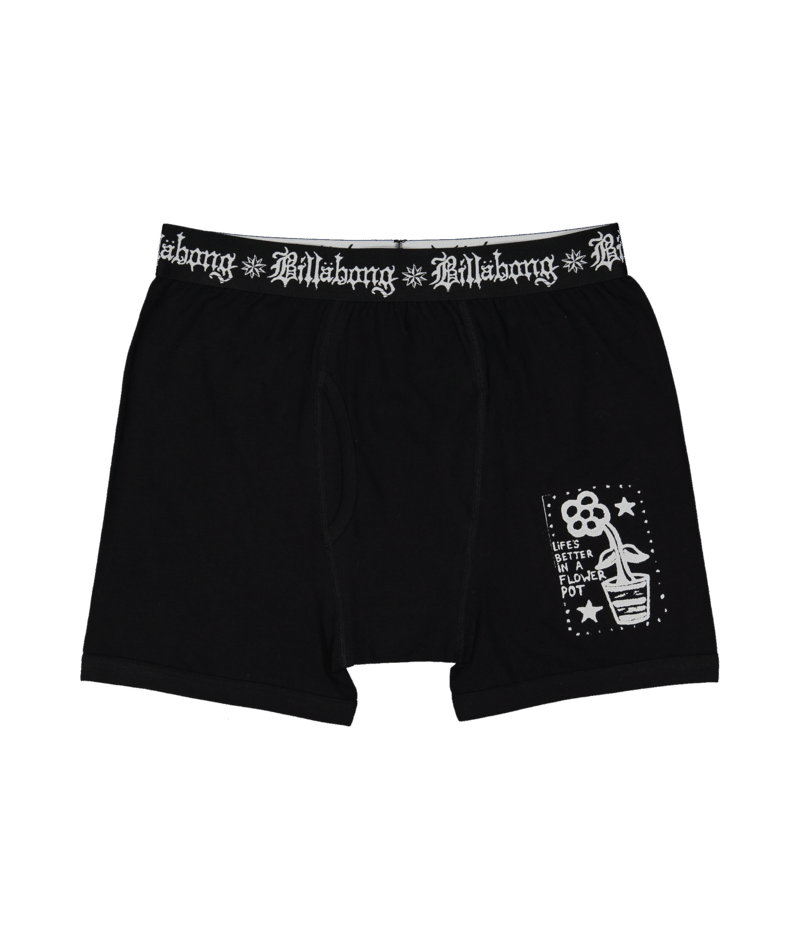Billabong Creed Flower Pot Brief 3 Pack in MULTI
