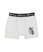 Billabong Creed Flower Pot Brief 3 Pack in MULTI