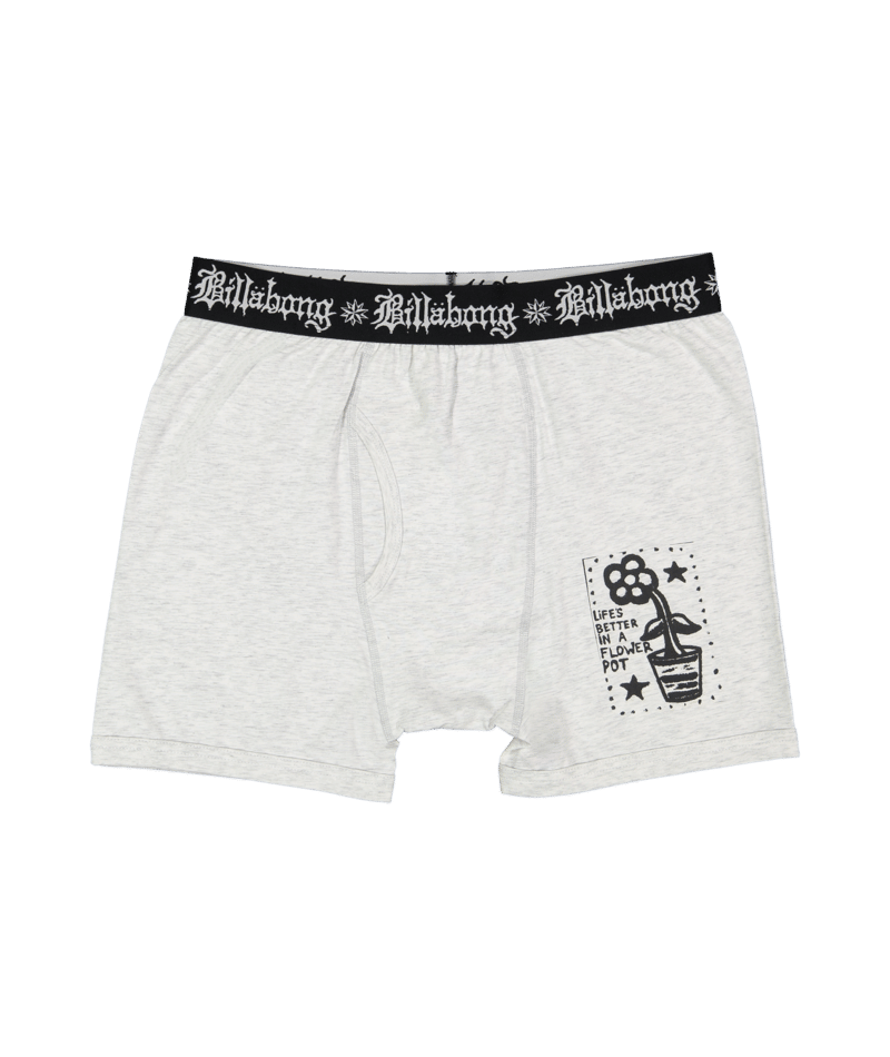 Billabong Creed Flower Pot Brief 3 Pack in MULTI