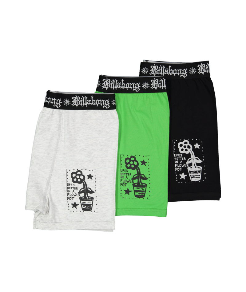 Billabong Creed Flower Pot Brief 3 Pack in MULTI
