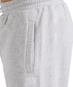 Billabong Premium Ww Pant in LIGHT GREY HEATHER