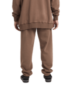 Billabong Premium Ww Pant in MOCHA