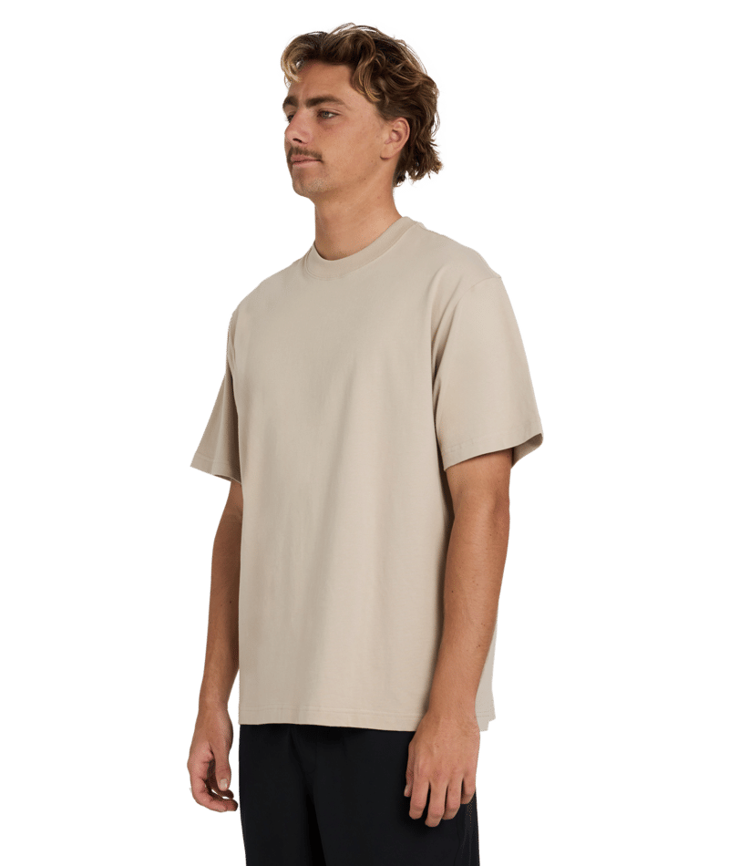 Billabong Premium Wave Wash Ss in MUSHROOM