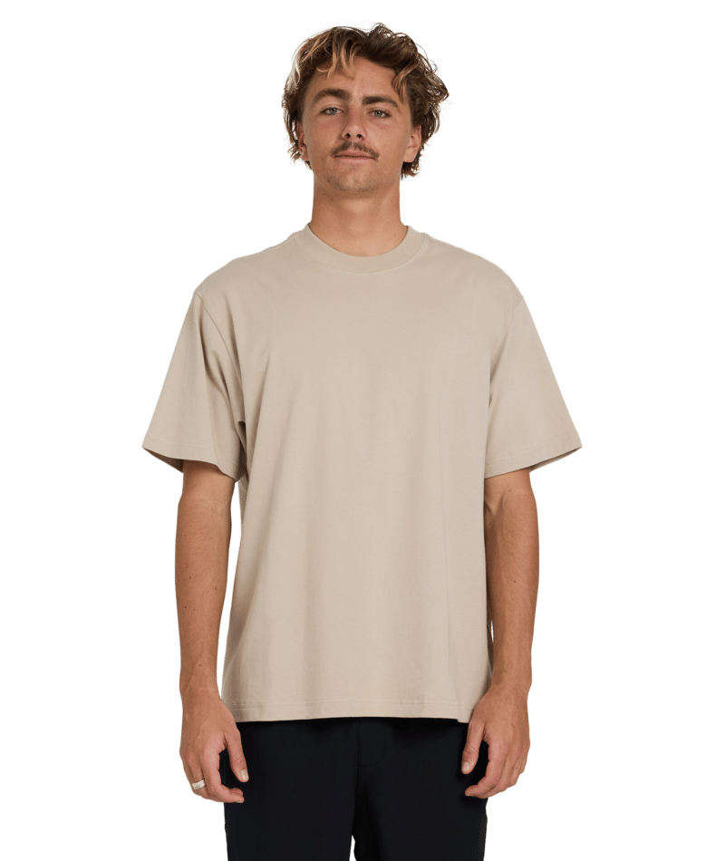 Billabong Premium Wave Wash Ss in MUSHROOM