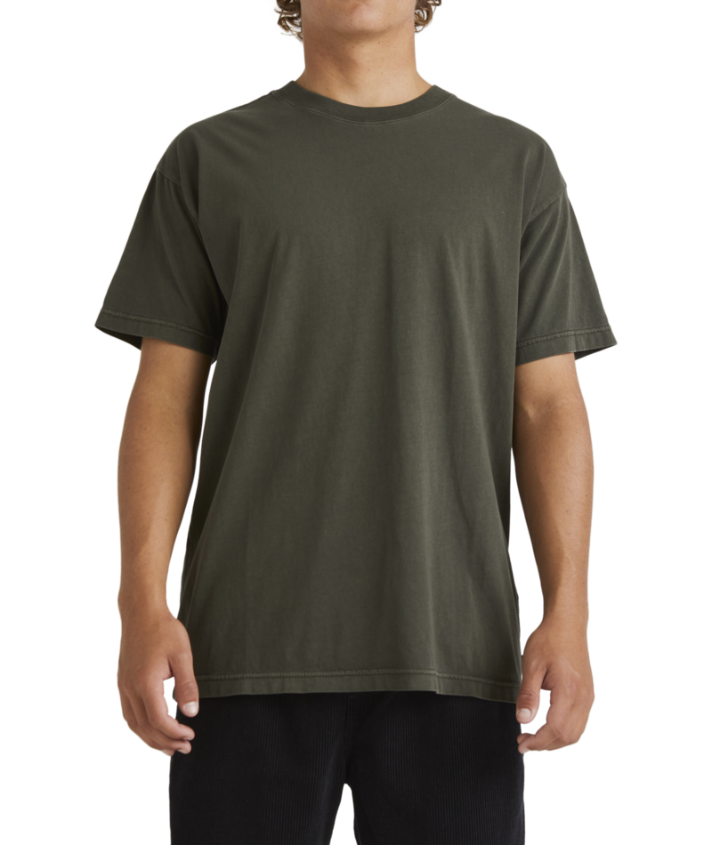 Billabong Premium Wave Wash Ss in SEAWEED