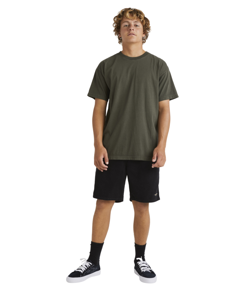 Billabong Premium Wave Wash Ss in SEAWEED