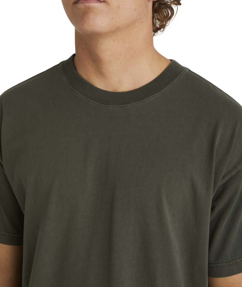 Billabong Premium Wave Wash Ss in SEAWEED