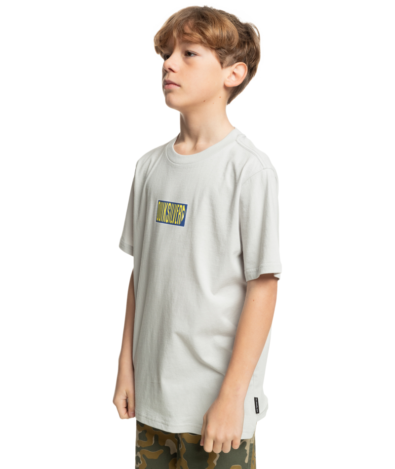 Quiksilver Crossed Out Ss Yth in GRAY VIOLET