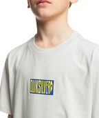Quiksilver Crossed Out Ss Yth in GRAY VIOLET