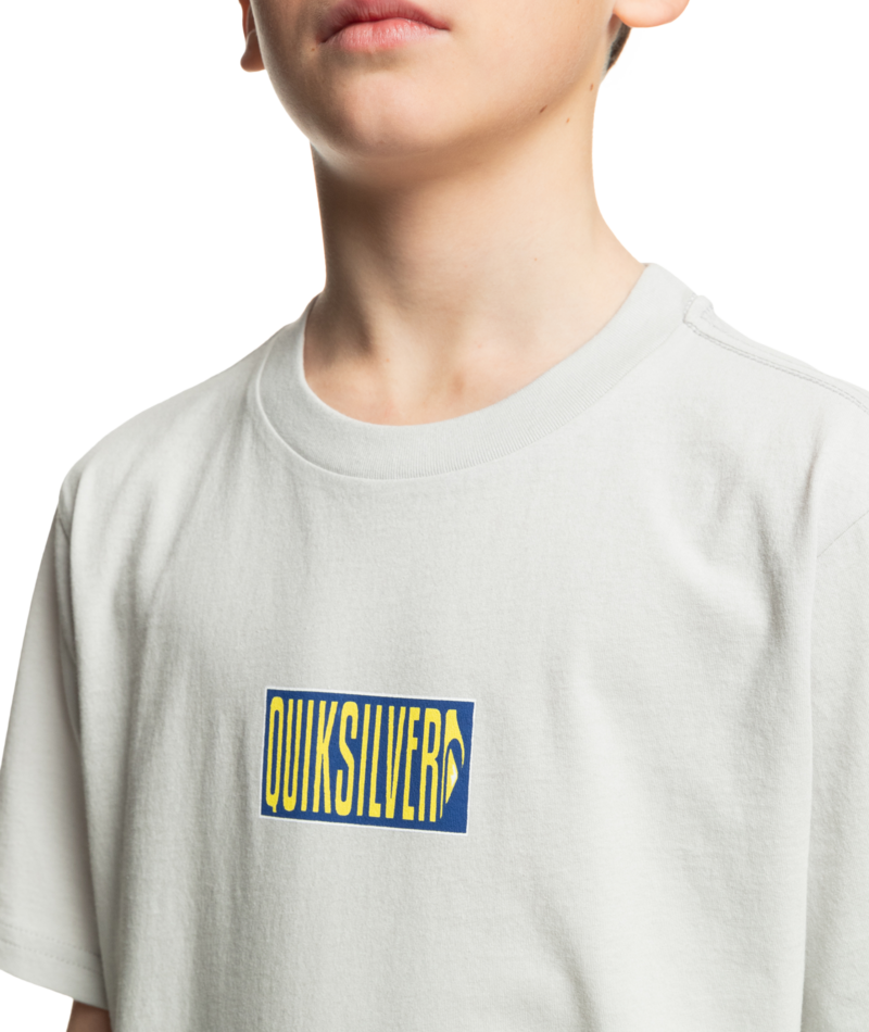 Quiksilver Crossed Out Ss Yth in GRAY VIOLET