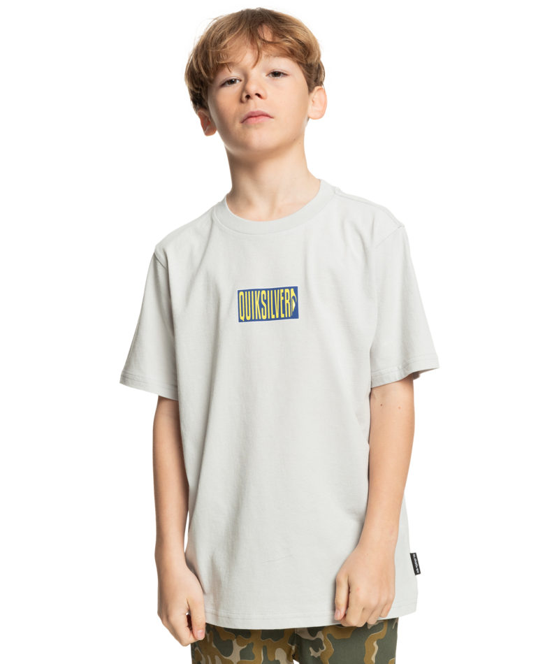 Quiksilver Crossed Out Ss Yth in GRAY VIOLET