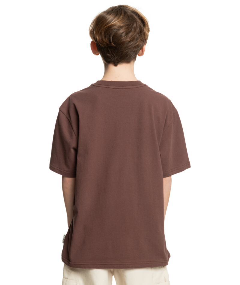 Quiksilver Hazard Ss Yth in BROWN STONE