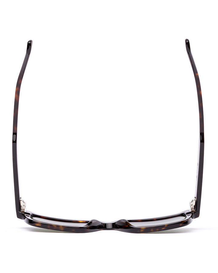 OTIS OUTBOUND - Eco Havana Ray / Grey in ECO HAVANA RAY / GREY