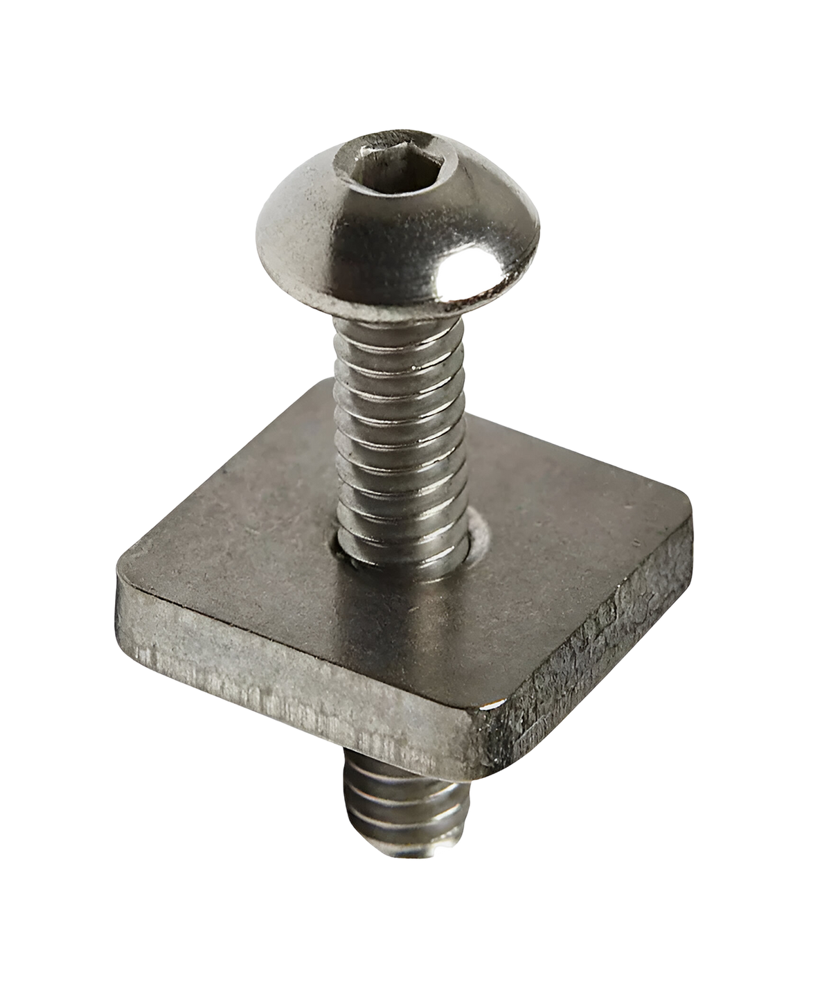 FCS Long board Screw and Plate in CLR