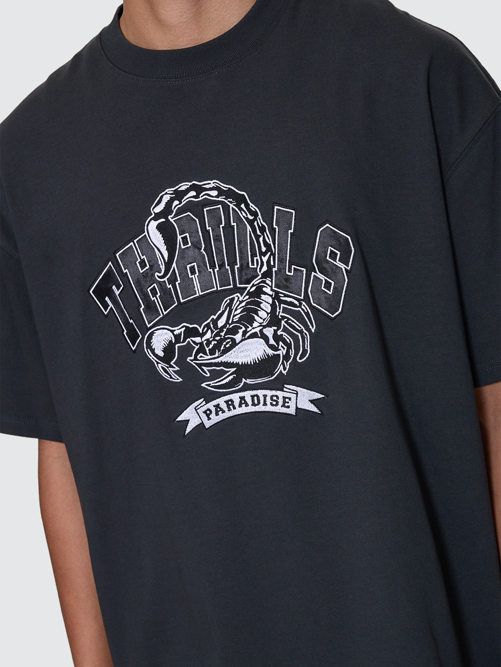 Thrills Co Sting Of Defeat Box Fit Oversize Tee - Carbon in Carbon